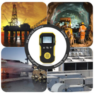 Portable Single Gas Detector